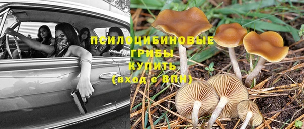 PSILOCYBIN Нязепетровск