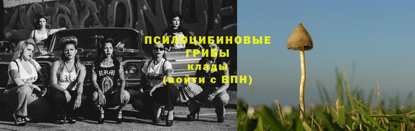PSILOCYBIN Нязепетровск