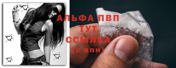 PSILOCYBIN Нязепетровск