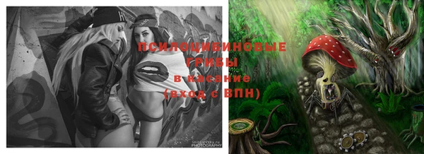 PSILOCYBIN Нязепетровск