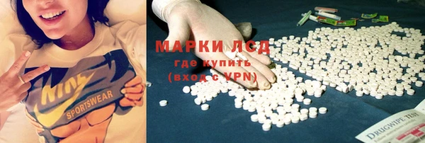 PSILOCYBIN Нязепетровск