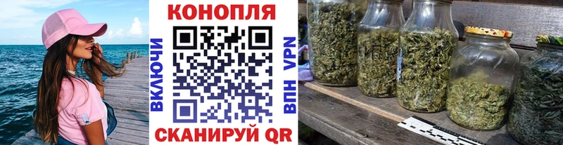 Бошки марихуана Amnesia Рудня